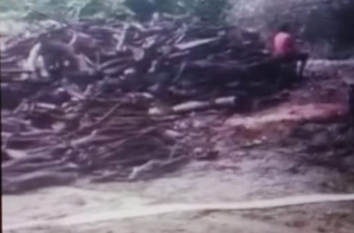 रायबरेली के ऊंचाहार में वन विभाग की मिली भगत से संचालित हो रही अवैध कोयला भट्ठी पर्यावरण को कर रही दूषित