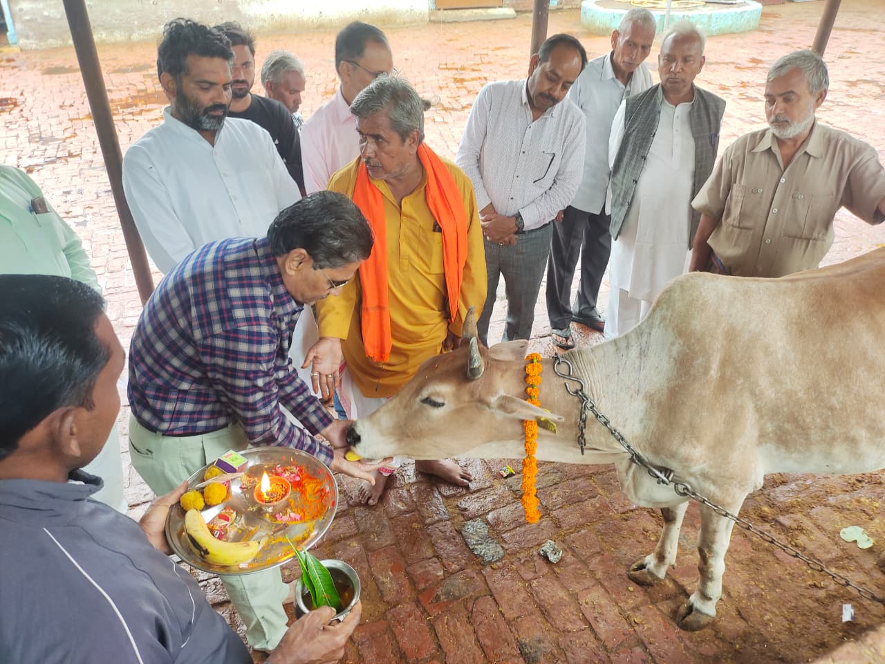 अखिल भारतीय ब्राह्मण एकता परिषद के पदाधिकारियों ने किया गौ पूजन