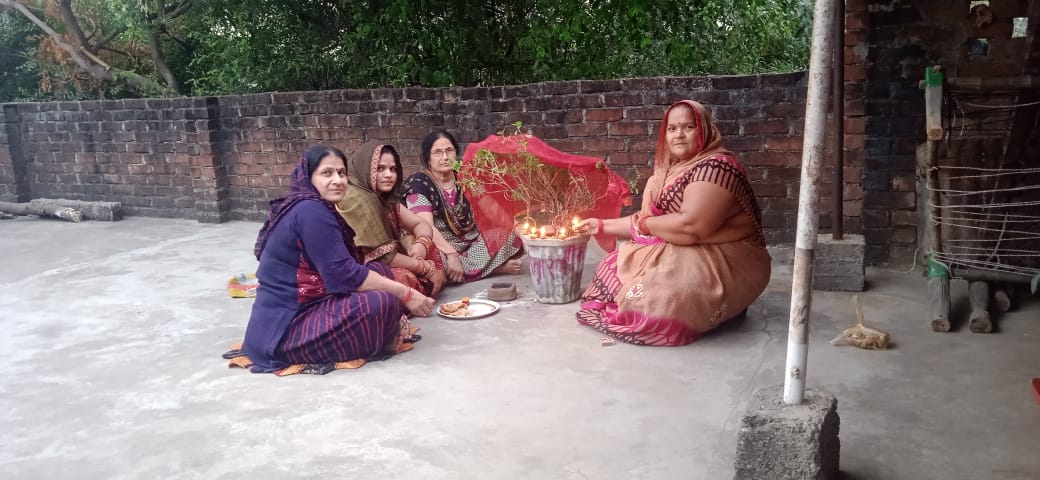 तुलसी की पूजा करके , की सुख,समृद्ध की कामना