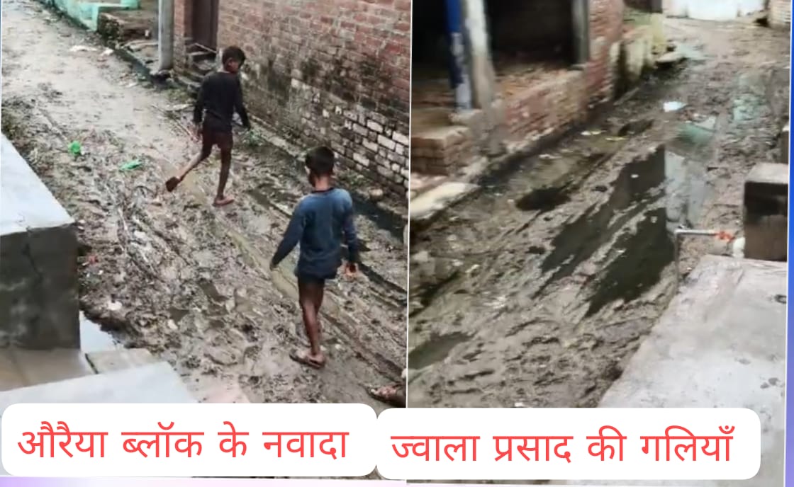 अजीतमल ब्लॉक की पंचायत नवादा ज्वाला प्रसाद की गलियों में भरा कीचड, प्रधान को नहीं चिंता