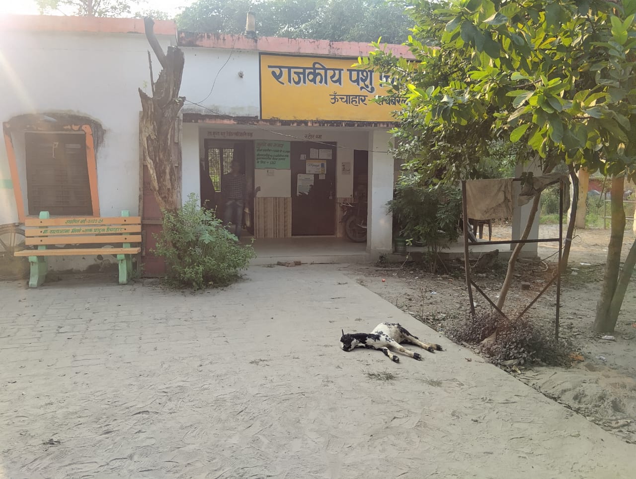 ब्लॉक कार्यालय स्थित राजकीय पशु चिकित्सालय के उप चिकित्सक की लापरवाही से बेजुबान ने तोड़ा दम