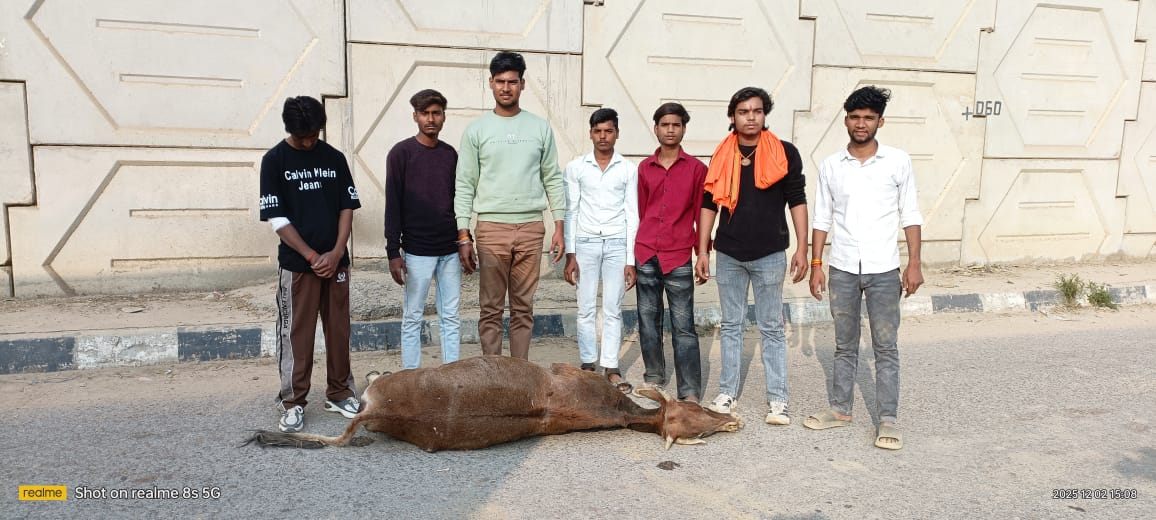 गौ माता का गो-रक्षा बजरंग दल पदाधिकारियों ने कराया अंतिम संस्कार