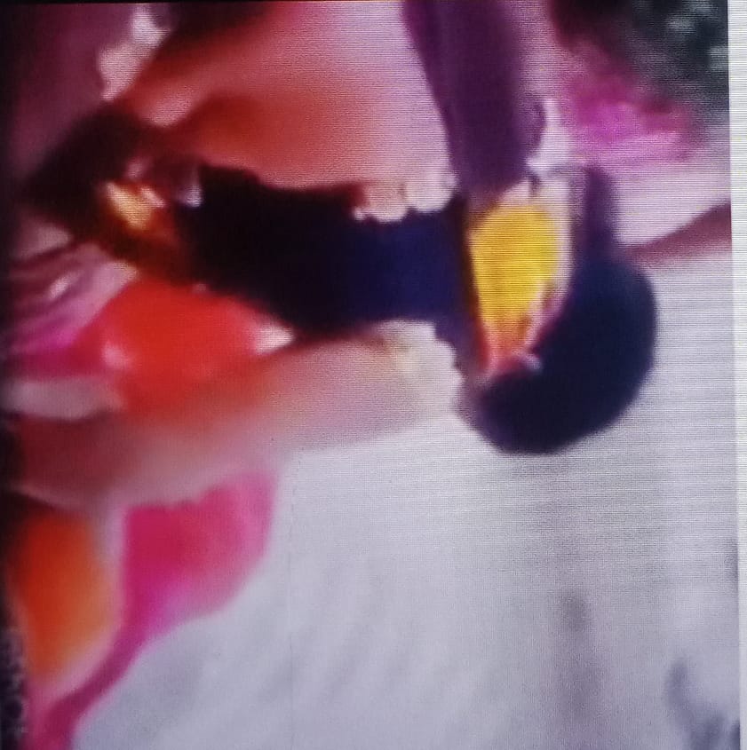 महिलाओं में मारपीट, वीडियो हुआ वायरल, पुलिस कर रही जांच