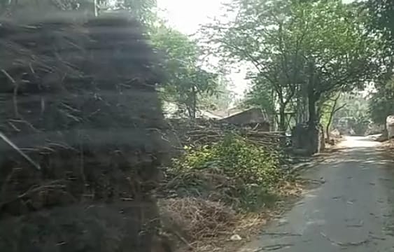 सड़क पर खूंटा गाड़कर भैंस व अन्य जानवर लकड़ी पैरा रखकर रास्ते को अवरूद्ध