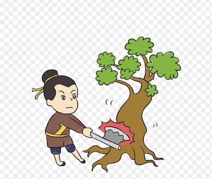 ऊंचाहार में पर्यावरण पर प्रहार, मनीरामपुर पुल के पास अवैध कटान से सरकार को लाखों का चूना